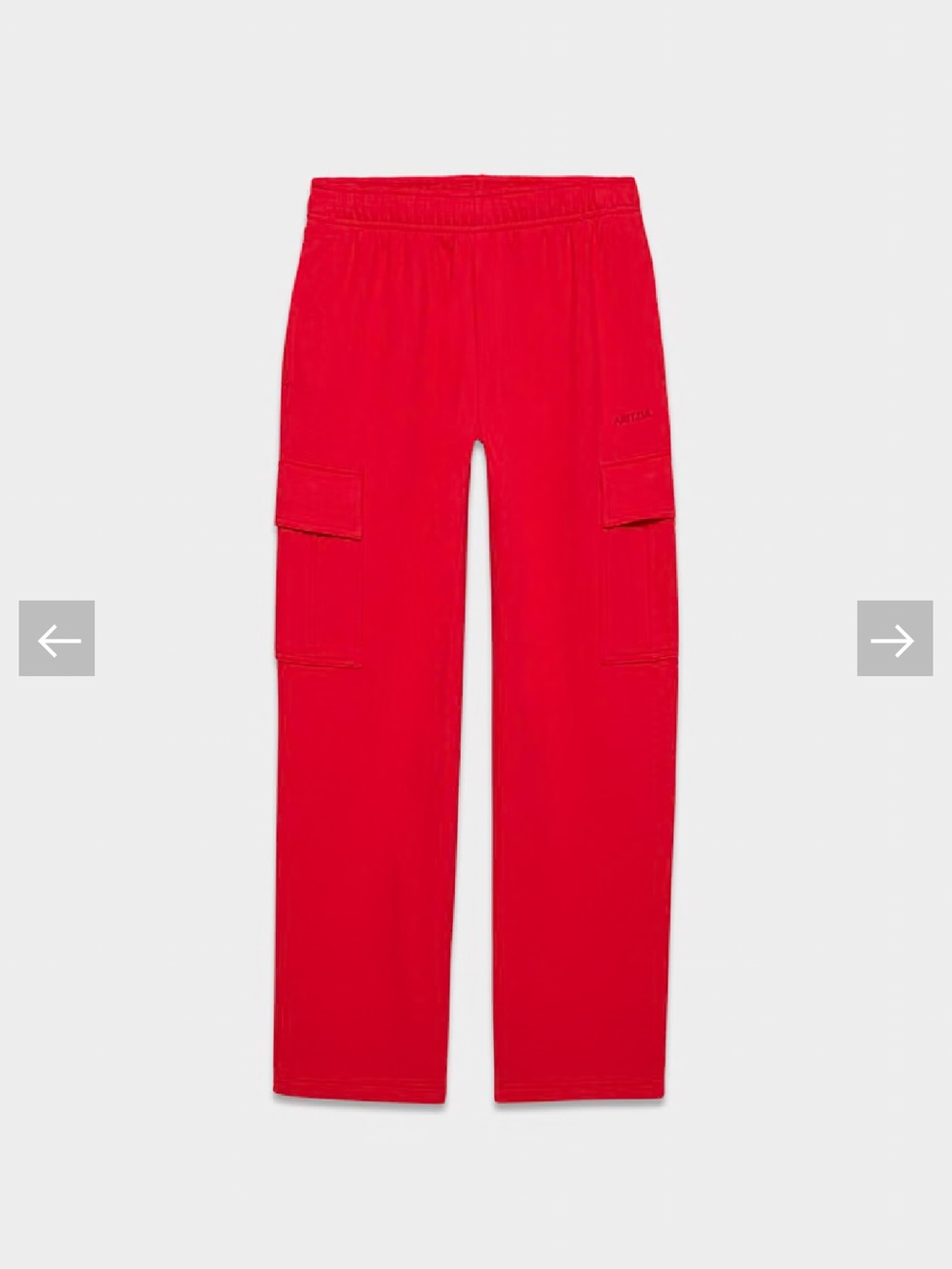 Aritzia Red Cargo Joggers